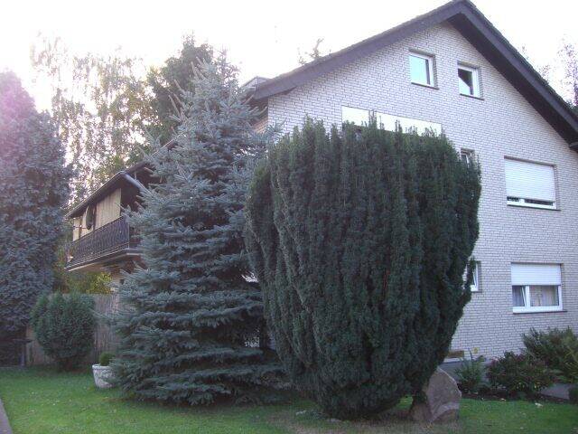 Vermietetes 2-Familienhaus auf großem Grundstück mit Garage – Bergheim – Vorschaubild 3