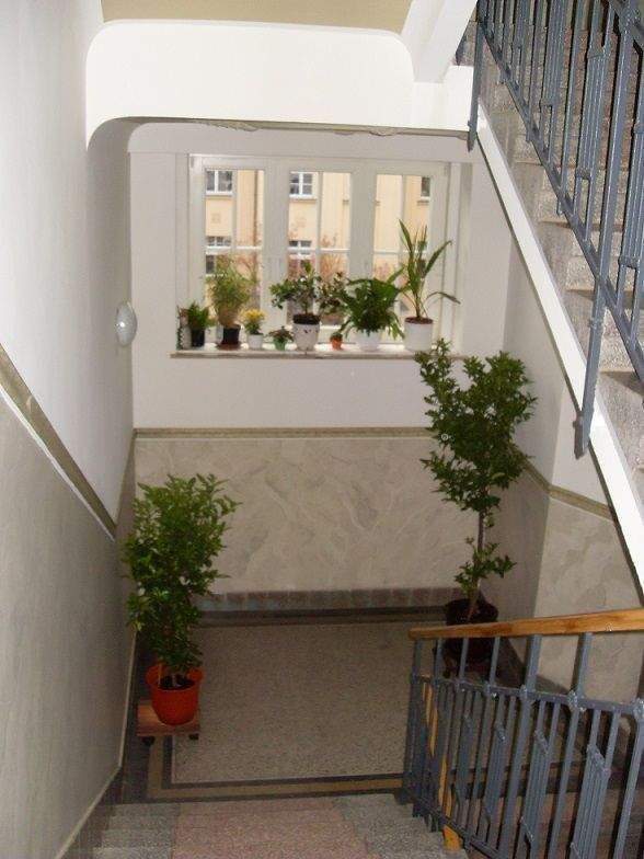 VERMIETETE 2-Raum Wohnung mit Einbauküche mit Balkon – Chemnitz – Vorschaubild 4