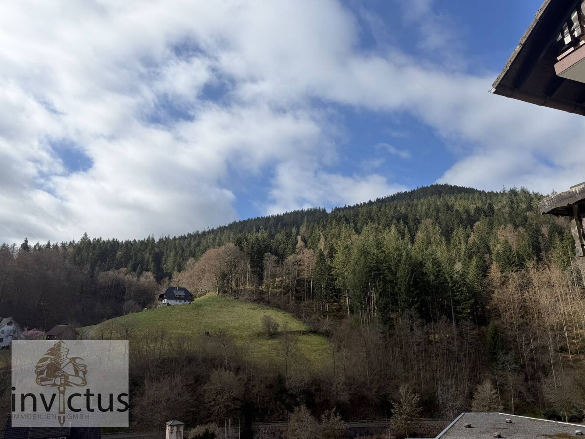 Etagenwohnung in 77776 Bad Rippoldsau-Schapbach mit 93,88 m² kaufen