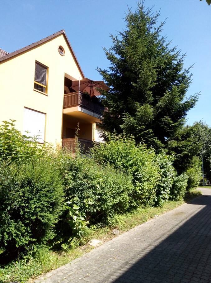 großzügige 3 Zimmer Wohnung mit Terrasse und Garage in Chemnitz – Chemnitz – Vorschaubild 5