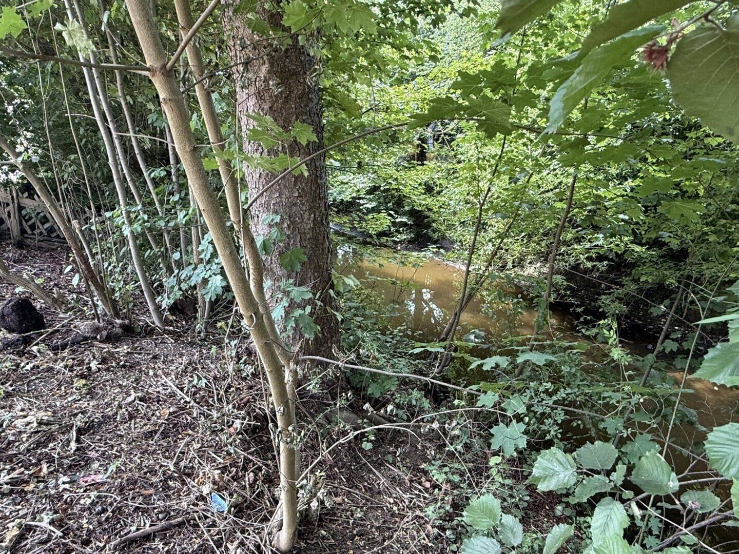 Willkommen Zuhause! Hübsche DHH in zentraler Lage mit großem Garten, Garage und ganz viel Grün – Ostrach – Vorschaubild 7
