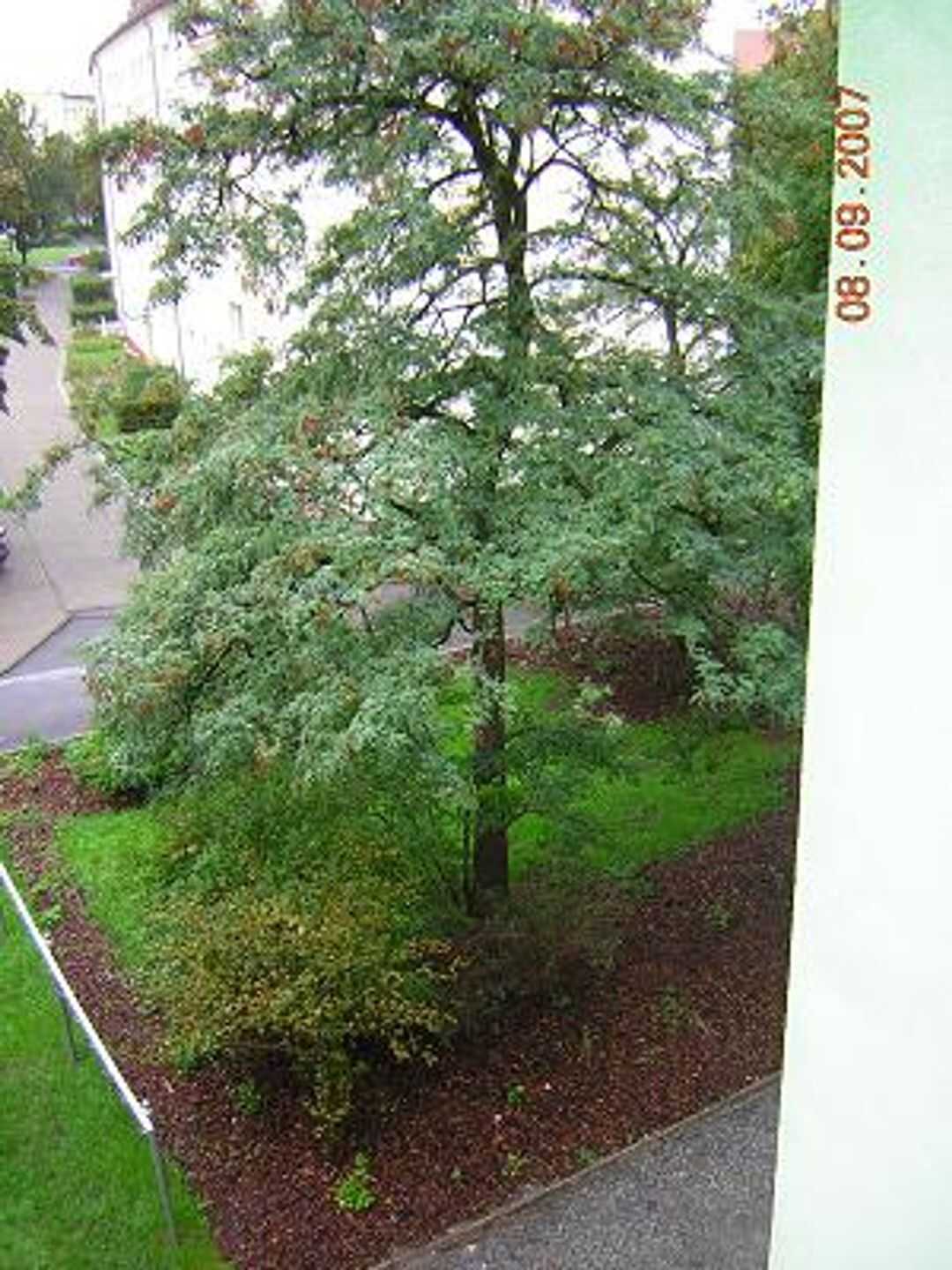 Charmante 3-Zimmer-Altbauwohnung in Leipzig-Alt-West, ruhige und zentrale Lage – Leipzig – Vorschaubild 7