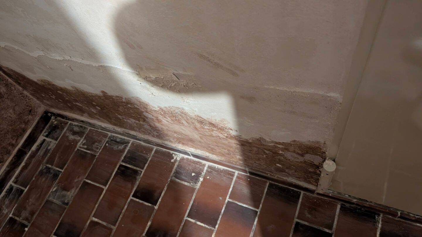 RESERVIERT!!!!!Sonniger Bungalow-Feldrandlage, Sackgasse mit Garage – Schwarzenbek – Vorschaubild 7