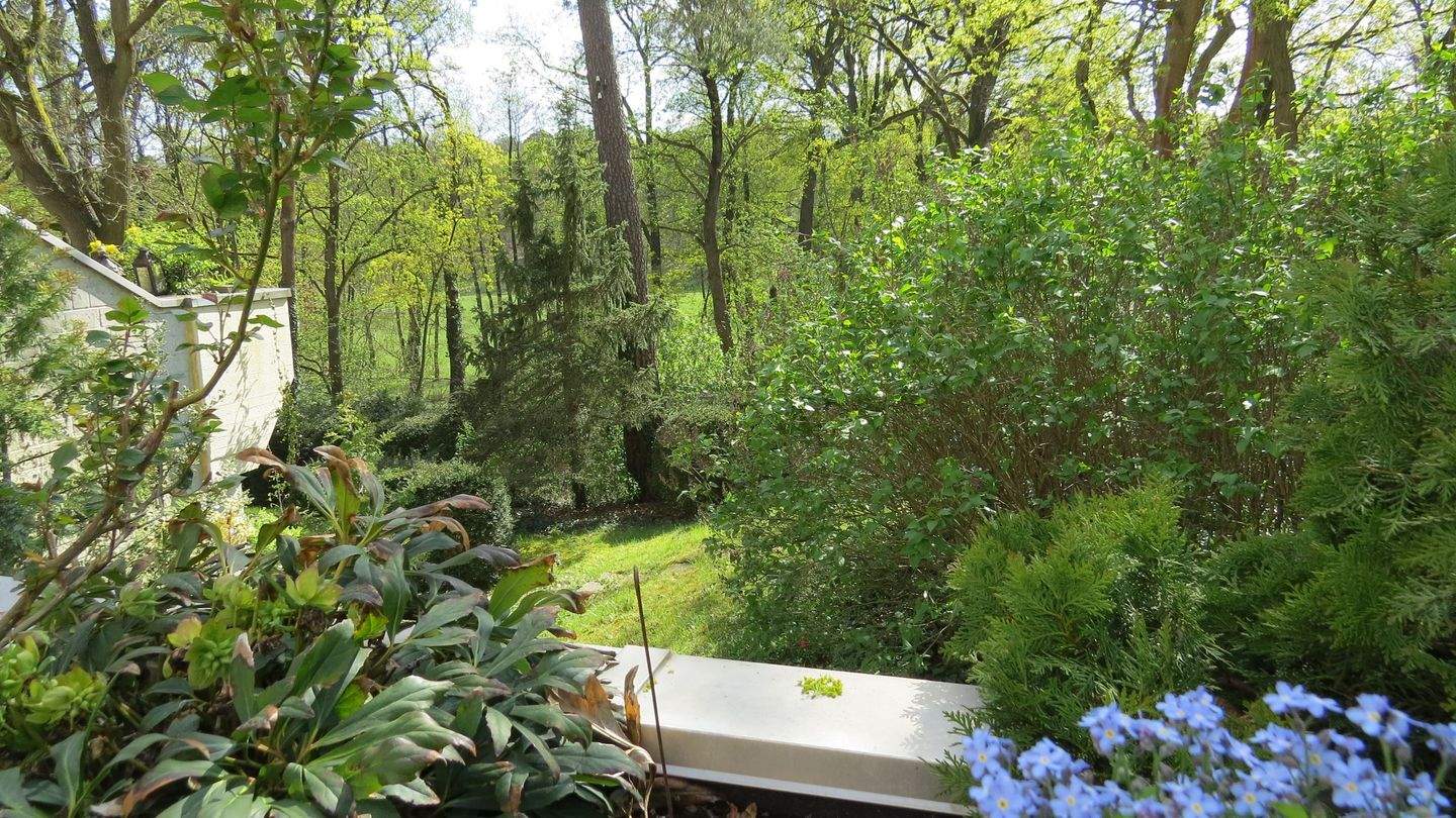 Berlin-Grunewald, beste Lage im EG aber(!) zur Waldseite 1.OG durch Hanglage mit großer Süd-Terrasse und herrlichem Blick in die Natur - Einzelgarage – Berlin – Vorschaubild 2