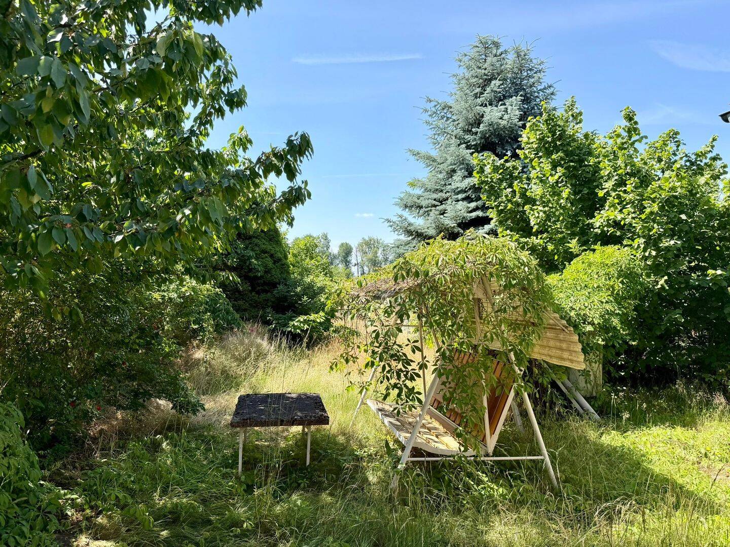 Großzügiges Grundstück mit Wohnhaus, Nebengebäuden und Auszugshaus in Elster (Elbe) – Zahna-Elster – Vorschaubild 9