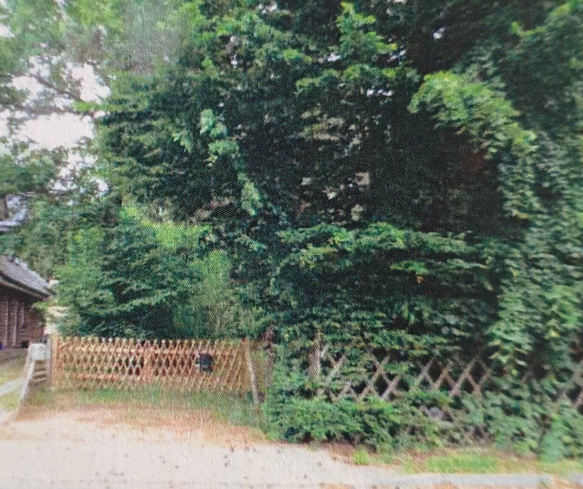 BAUTRÄGERFREIES GRUNDSTÜCK IN PETERSHAGEN-EGGERSDORF