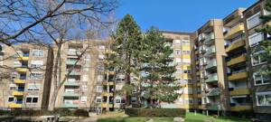 Schöne Wohnung sucht Mieter: 2-Zi.-Wohnung in zentraler Lage – 44309 Dortmund – Vorschaubild 5