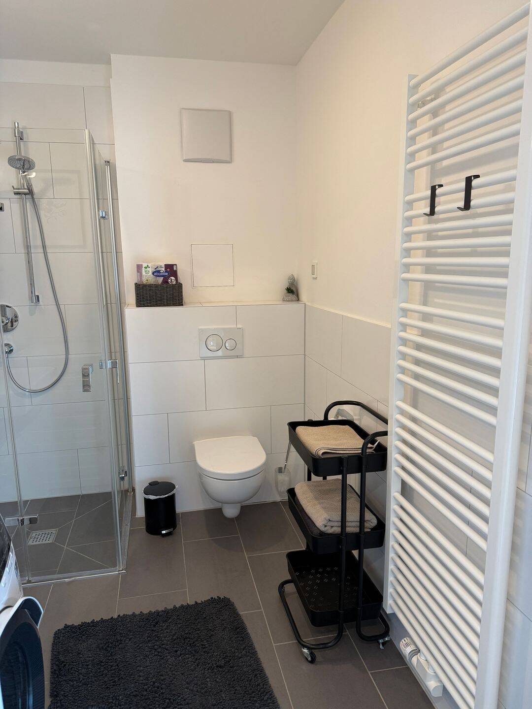 Hochwertiges neu möbliertes Ein-Zimmer-Appartement in Nürnberg Eberhardshof – Nürnberg – Vorschaubild 8
