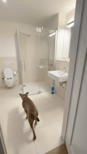 2-Zimmer Neubauwohnung im Zentrum von Rissen – 22559 Hamburg – Vorschaubild 6