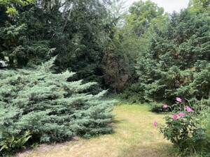 Gartenoase im Westend - Erdgeschosswohnung mit eigenem Garten und Tiefgarage – 63067 Offenbach am Main – Vorschaubild 6
