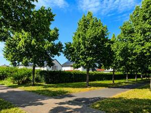 Energie-Juwel in Leipzig: Minimale Kosten für Ihren Verbrauch. Maximaler Komfort im EFH mit Garten. – 4329 Leipzig – Vorschaubild 2
