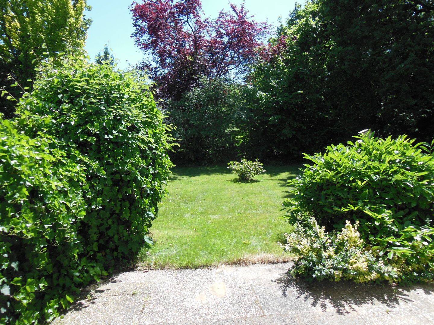 1,5 -Zimmerwohnung mit Terrasse – Hamburg – Vorschaubild 9