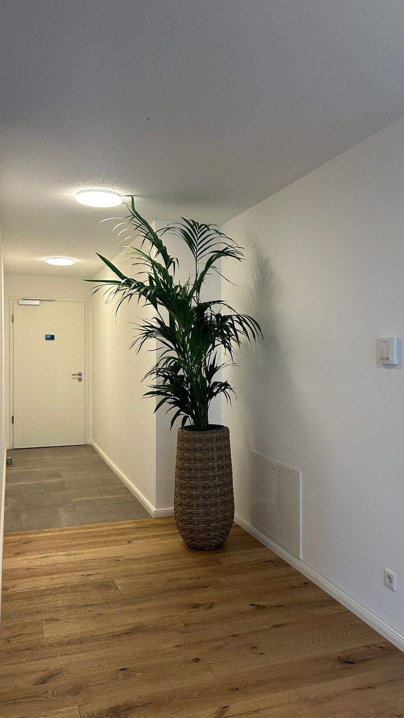 Schöne 2 Zimmer Gartenwohnung – Ingolstadt – Vorschaubild 4
