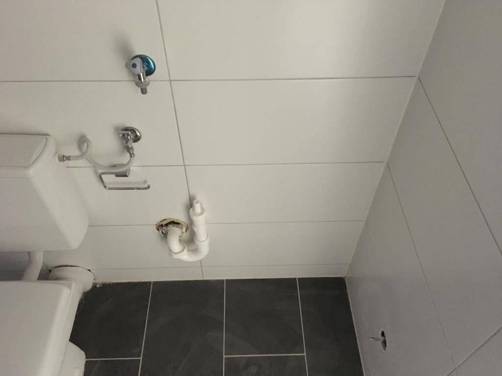 Demnächst frei! 3-Zimmer-Wohnung in Gelsenkirchen Scholven – Gelsenkirchen – Vorschaubild 7