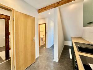 Helle 2-Raum-Wohnung direkt am Hirschgarten – 99084 Erfurt – Vorschaubild 3