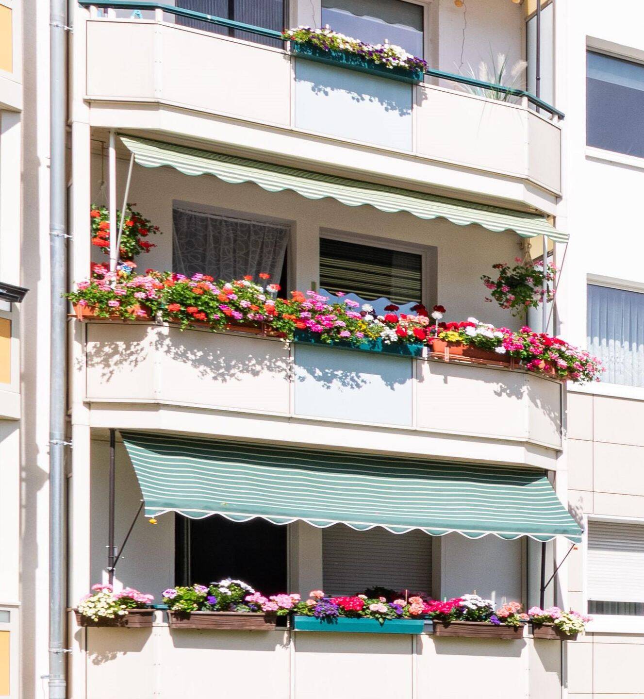 City Wohnung ab Oktober! – Magdeburg – Vorschaubild 6