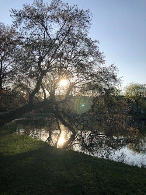 ruhige Wohnanlage direkt am Park! – Leipzig – Vorschaubild 2