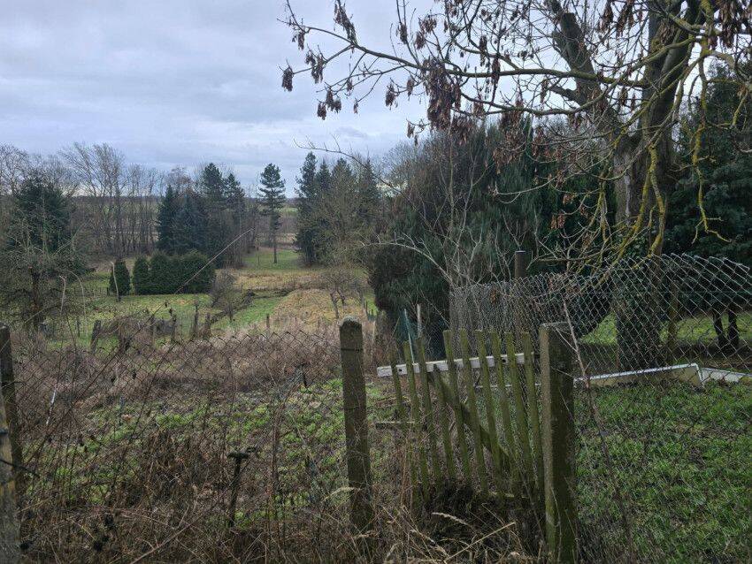 Großzügiges Ein- bis Zweifamilienhaus mit Scheune in ruhiger Lage von Rösa! – Muldestausee – Vorschaubild 5