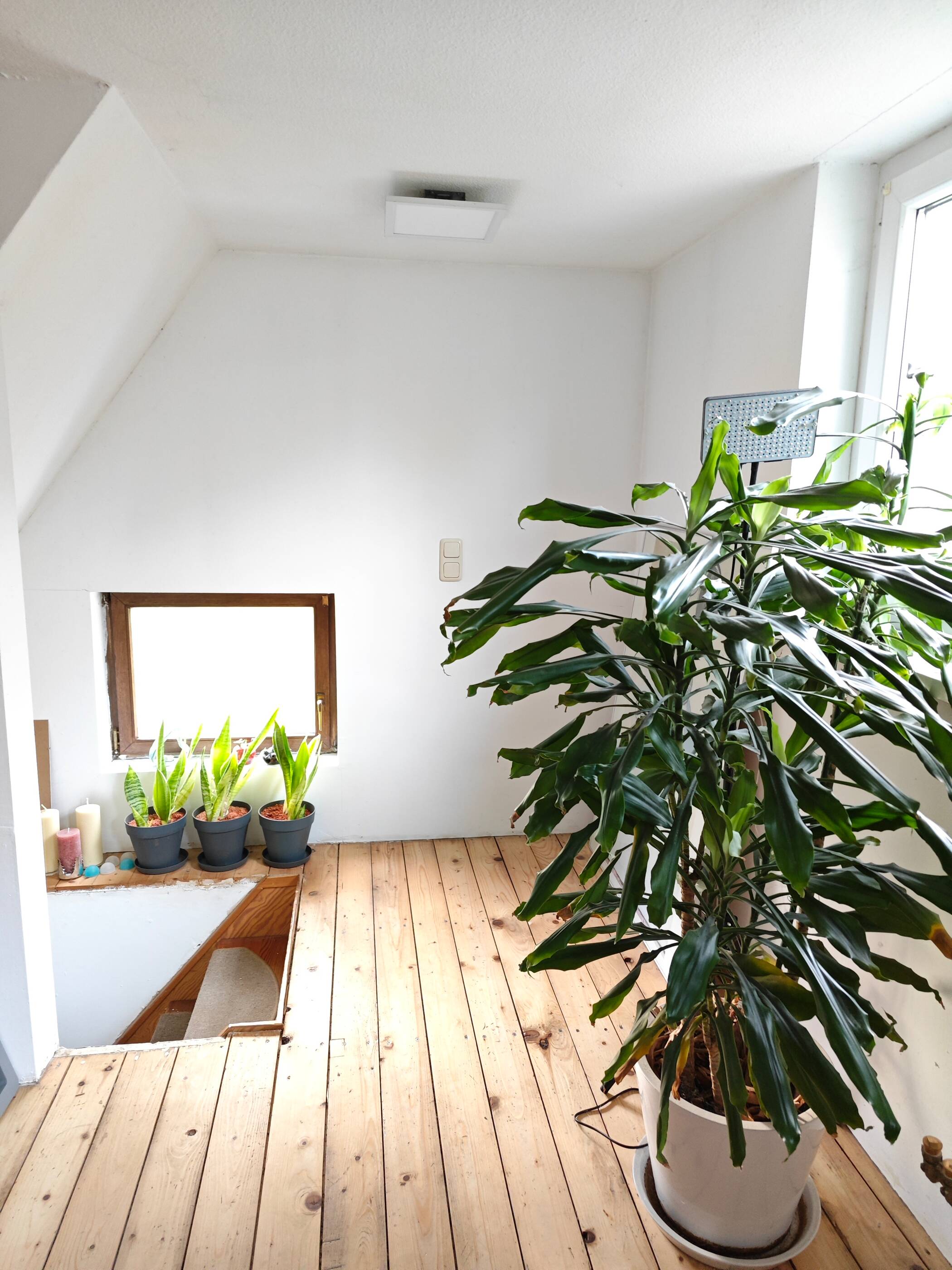 Einzigartiges kleines Fachwerkhaus (Lohgerberhaus) mit direktem Flusszugang im Wesertor – Kassel – Vorschaubild 7