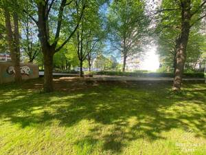 Sanierte 3-Zimmer-Wohnung mit Balkon im Plevierpark – 81737 München – Vorschaubild 2