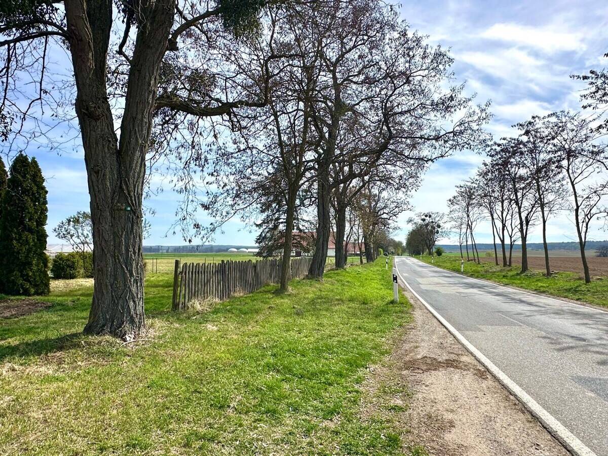 HORN IMMOBILIEN ++ Alleinlage gesucht? Einfamilienhaus, voll unterkellert in Gehren bei Strasburg – Strasburg (Uckermark) – Vorschaubild 7