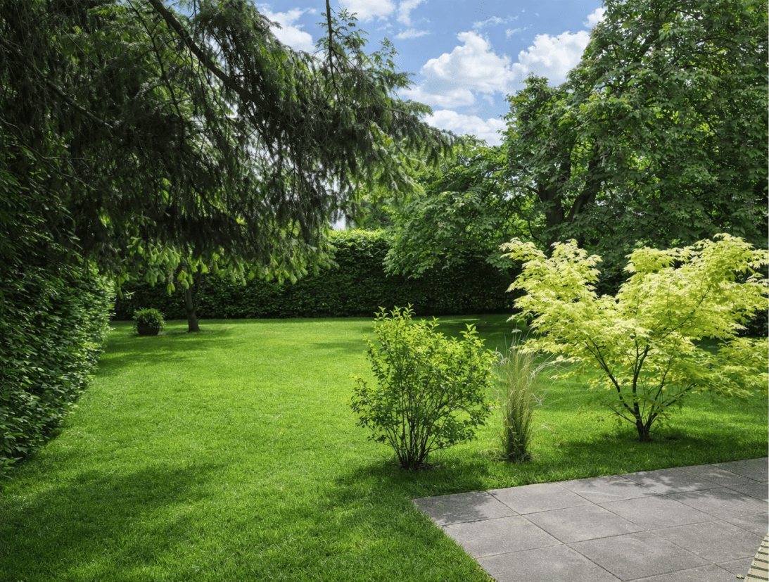 Schöne 3-Zimmer Erdgeschosswohnung mit Garten in Hamburg-Volksdorf – Hamburg – Vorschaubild 3