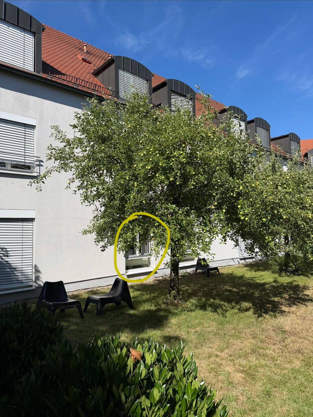 Helles möbliertes Studentenapartment im Herzen der Stadt – verfügbar ab 1. August 2026, 539€ all inc