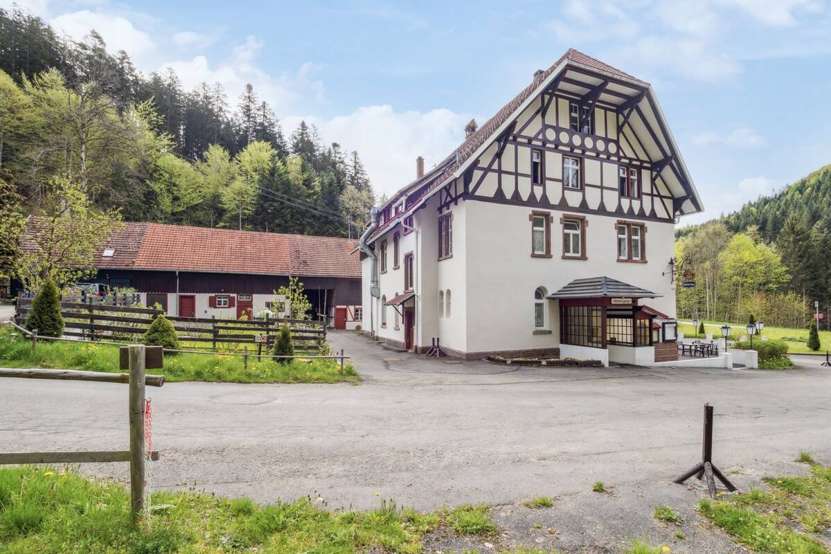 Projektimmobilie mit außergewöhnlichem Entwicklungspotenzial im Schwarzwald – Bonndorf im Schwarzwald – Vorschaubild 6