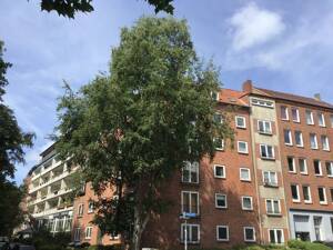 Gemütliche 3 Zimmerwohnung am Schützenpark!