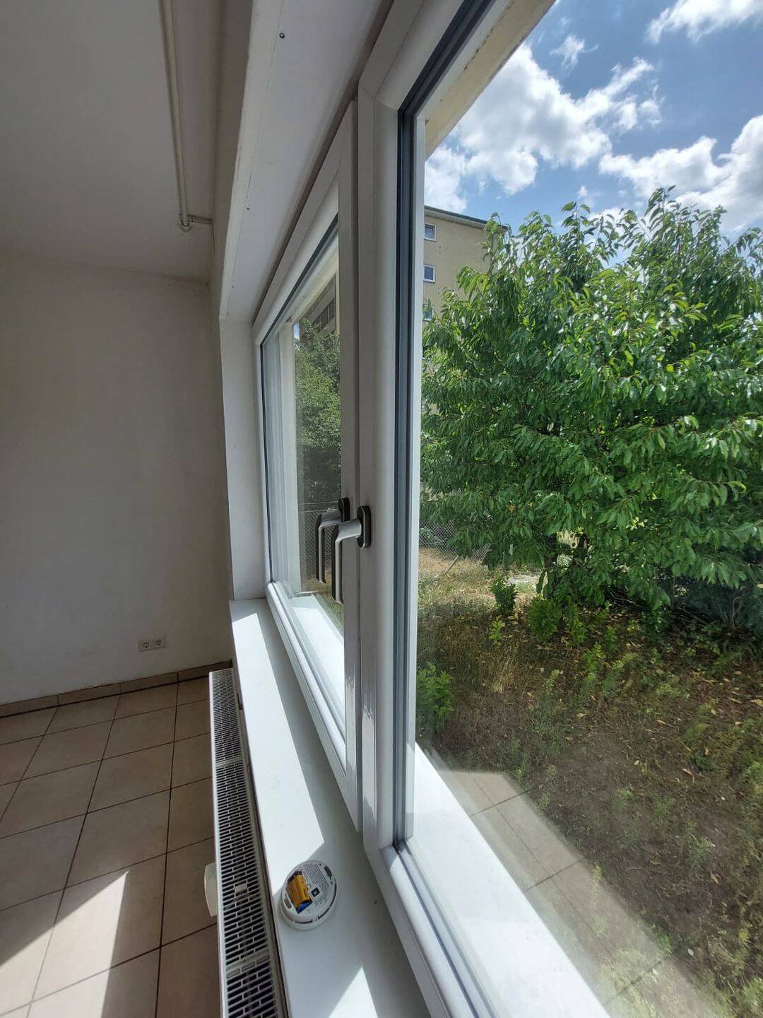 Attraktives 3-Familienhaus mit großem Grundstück in begehrter Lage von Nürnberg-St. Johannis – Nürnberg – Vorschaubild 6