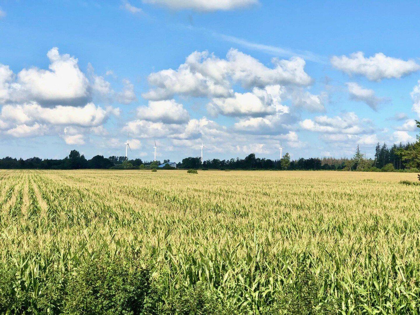Ankommen. Durchatmen. Zuhause sein. – Högel – Vorschaubild 3