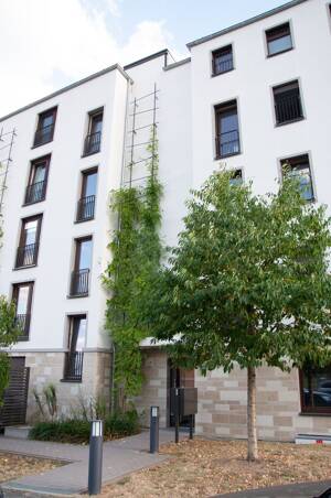 Exclusive Gelegenheit! 4-Zimmer Penthouse- Wohnung mit perfekter Verkehrsanbindung und Natur KFW 55 – 63073 Offenbach am Main – Vorschaubild 7