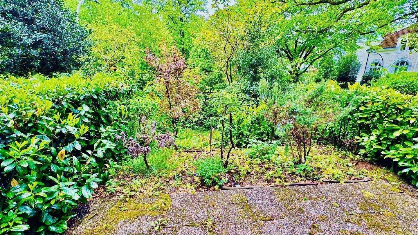 BLANKENESE. Urban wohnen, naturnah leben - ideale Singlewohnung in Elbnähe – Hamburg – Vorschaubild 4