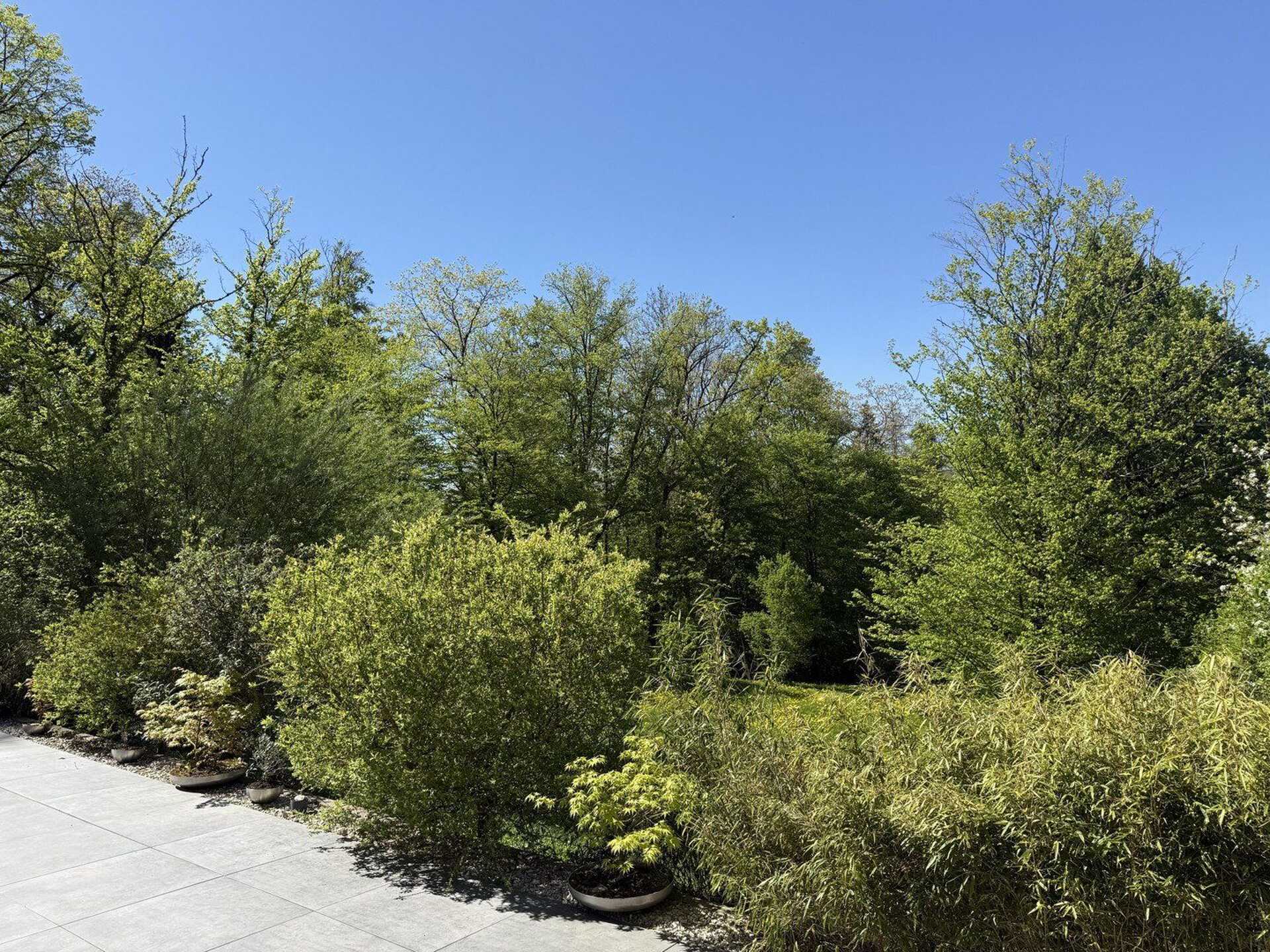 Haus in 91217 Hersbruck mit 143 m² kaufen