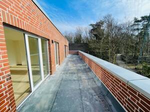 Energieeffizienter Neubau mit Dachterrasse! – 22559 Hamburg – Vorschaubild 9