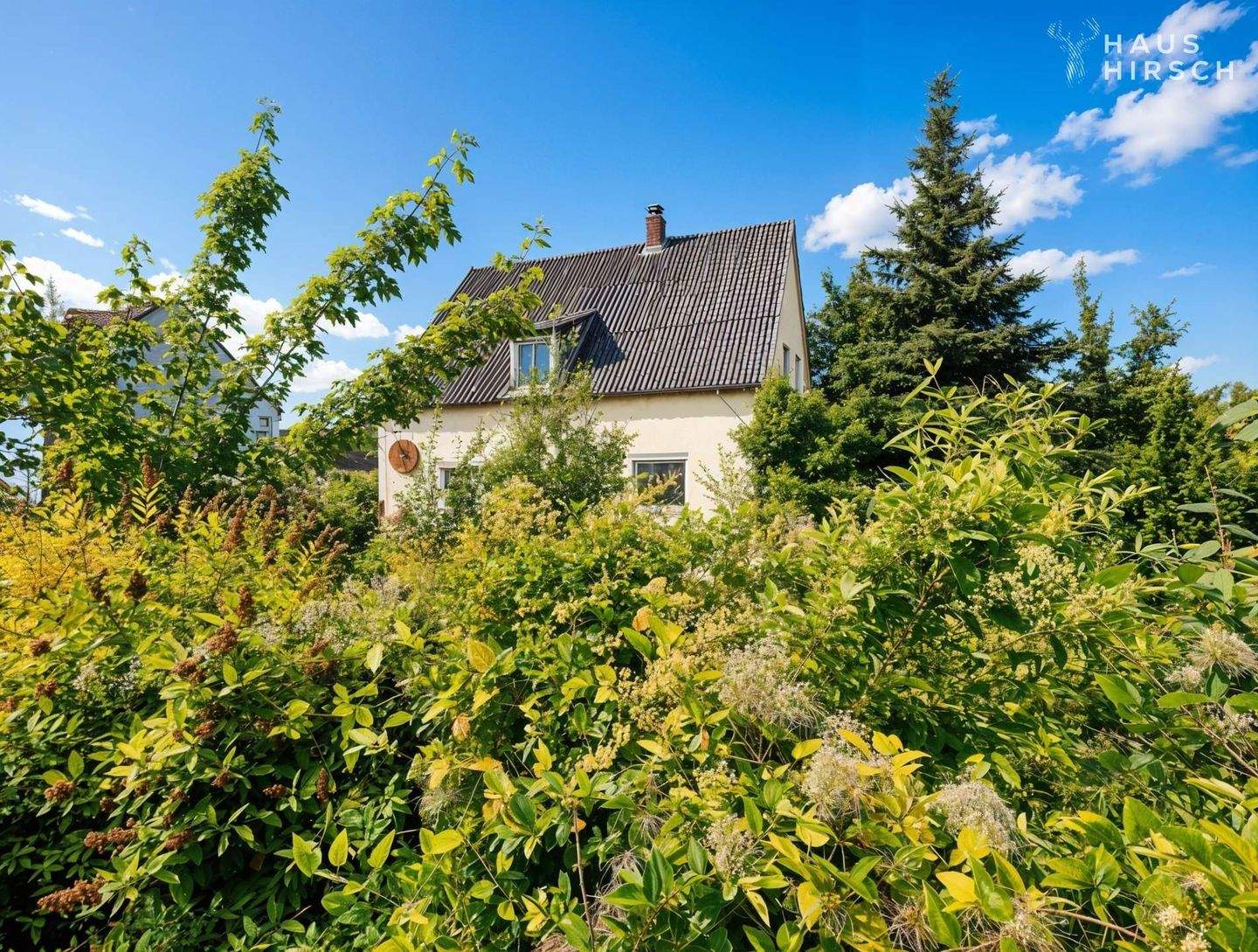 Traumlage mit viel Platz für Neues: Vermietetes Altbestand in Toplage für Mehrfamilienhaus! – Maxhütte-Haidhof – Vorschaubild 2