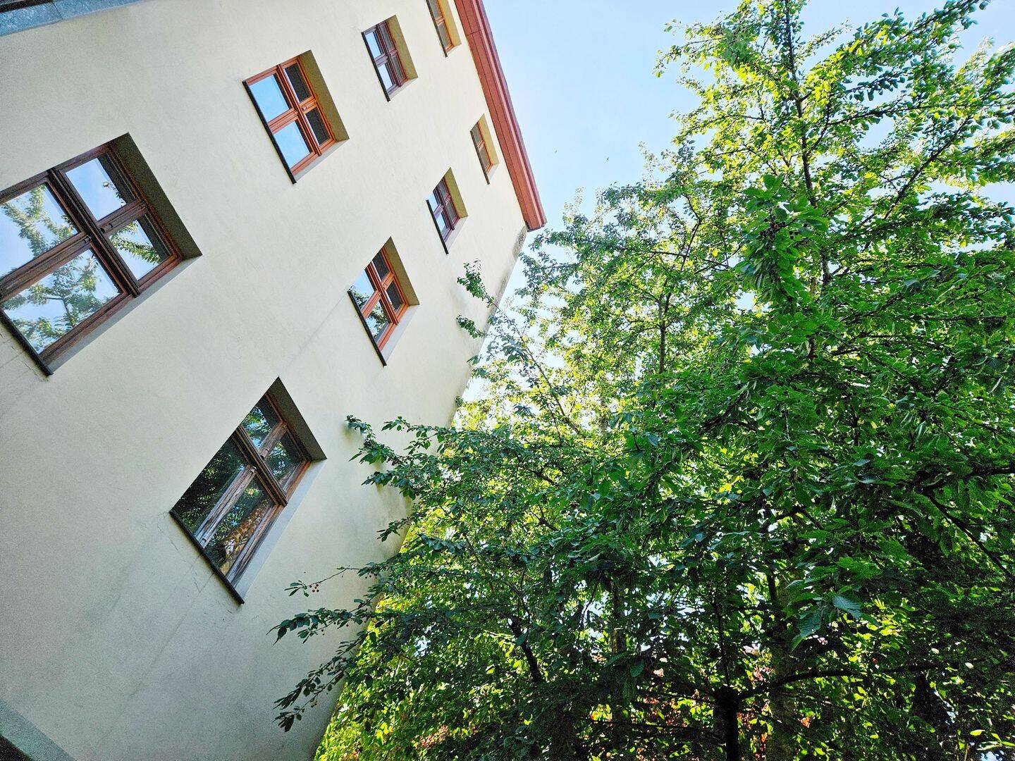 Frisch saniert: Terrassenwohnung im Hinterhaus – Magdeburg – Vorschaubild 5