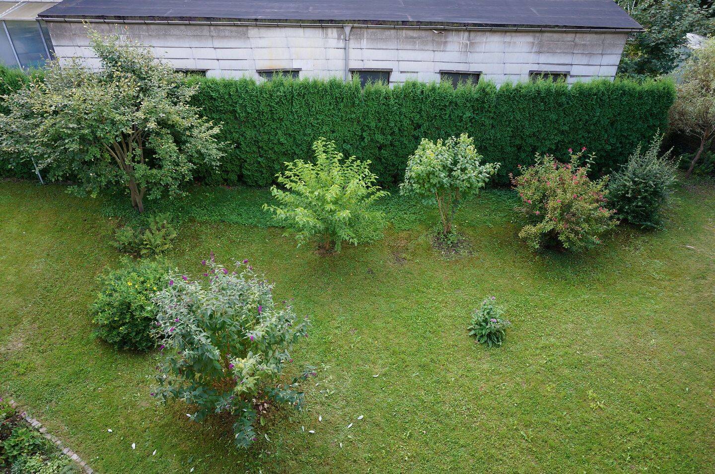 Nachmieter gesucht - TOP Ausstattung - Bad mit Fenster - Laminat – Chemnitz – Vorschaubild 8