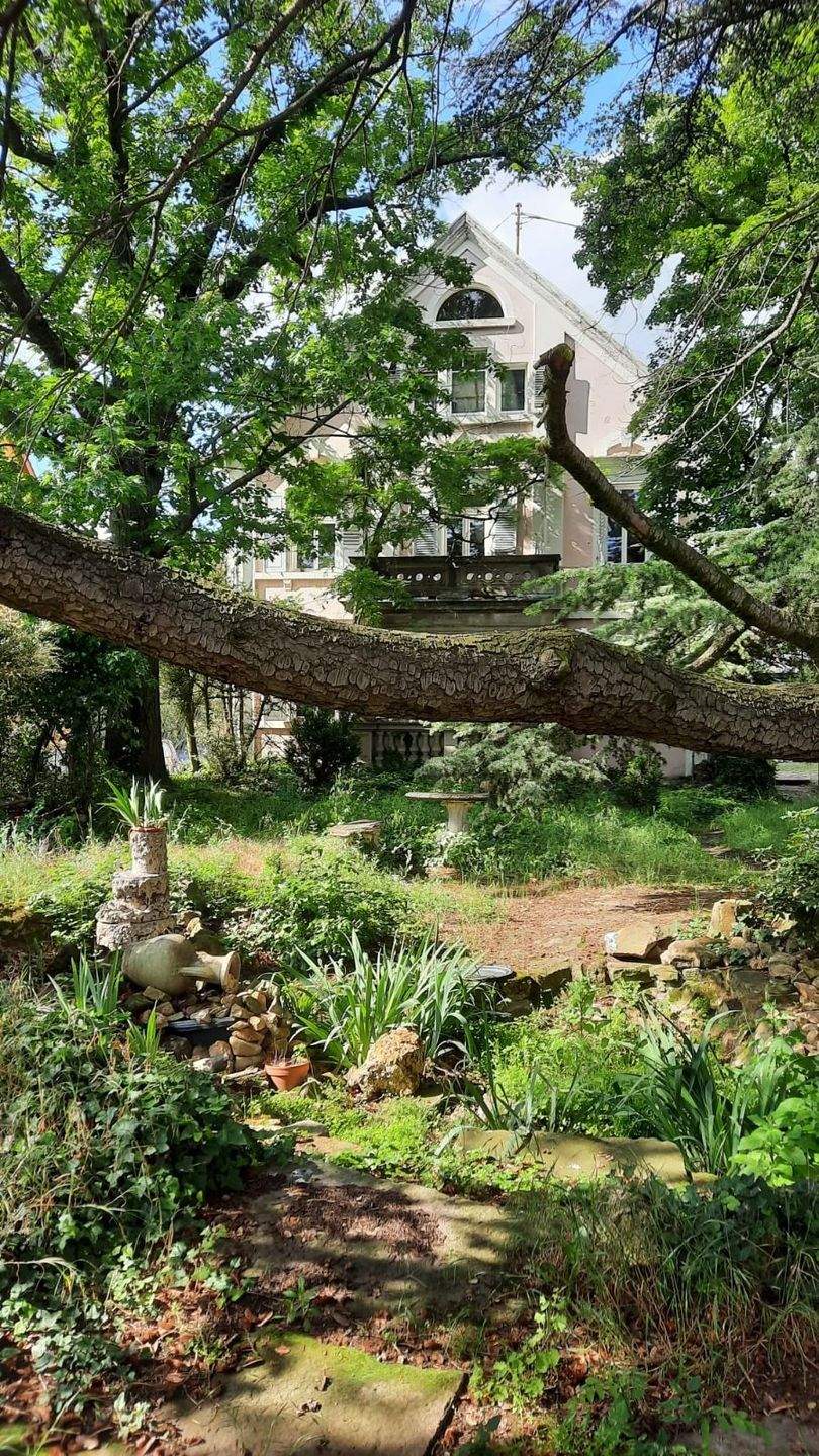 Denkmalgeschütztes Herrenhaus aus dem Jahr 1839 ! Ausbaufähige Wohnfläche bis zu 600 m² ! – Neustadt an der Weinstraße – Vorschaubild 8