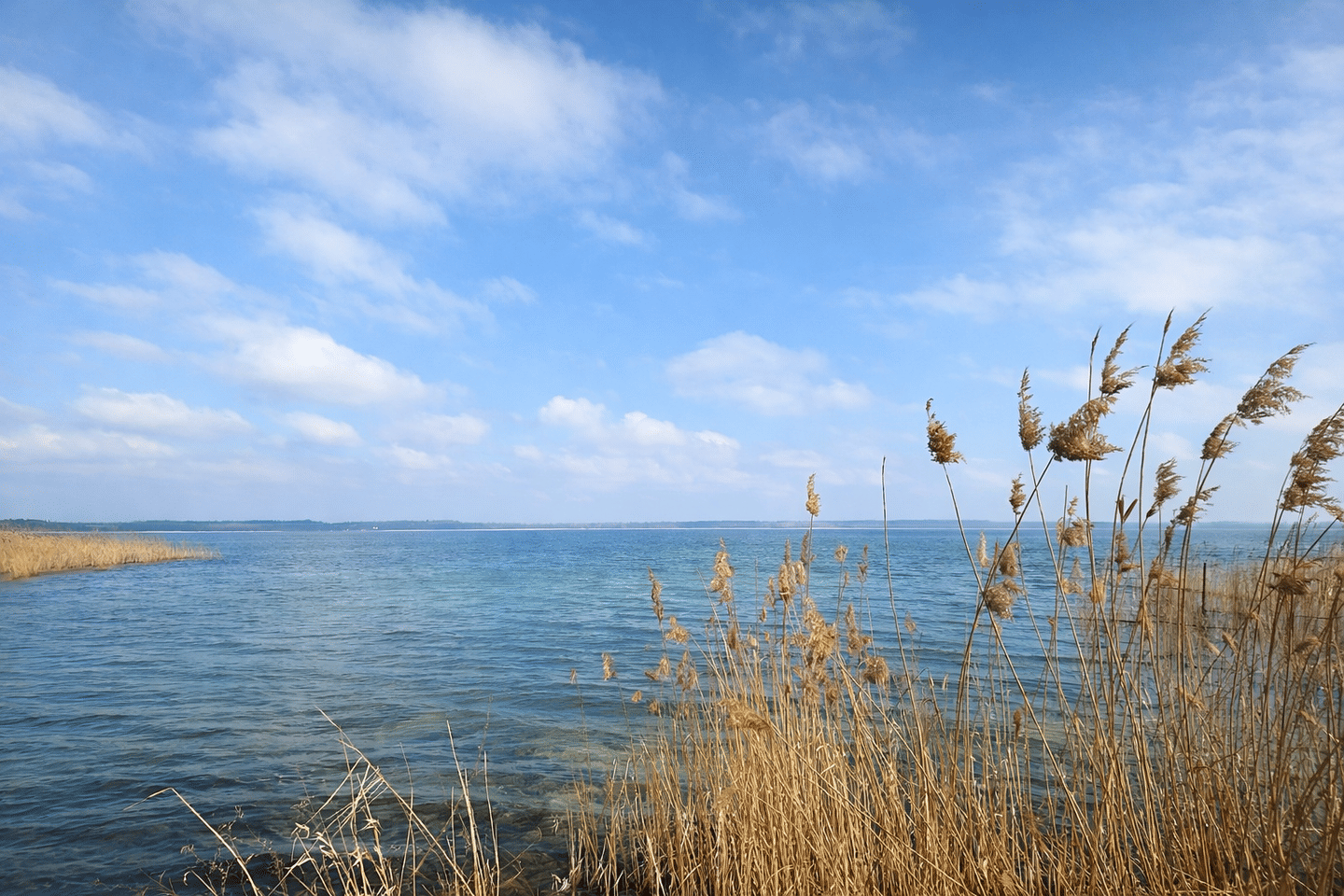 Zwischen See und Wald - ganzjährig nutzbares Refugium am Grimnitzsee – Joachimsthal – Bild 1 von 6