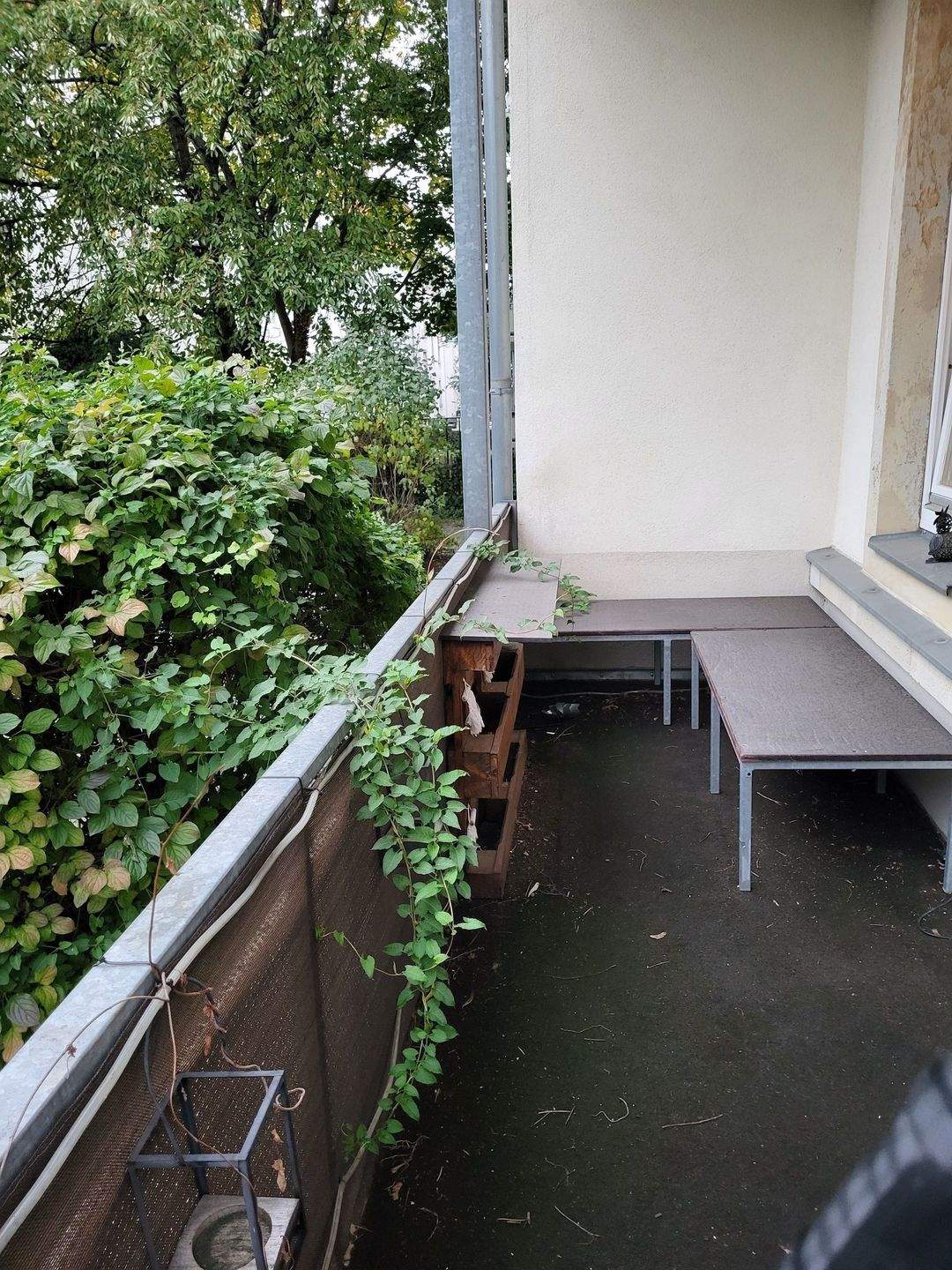 Gemütliche sonn. kl. 2-R-Single-Wohnung mit sehr großem West-Balkon u. EBK in ruhiger Lage v. Dresden-Löbtau – Dresden – Vorschaubild 2