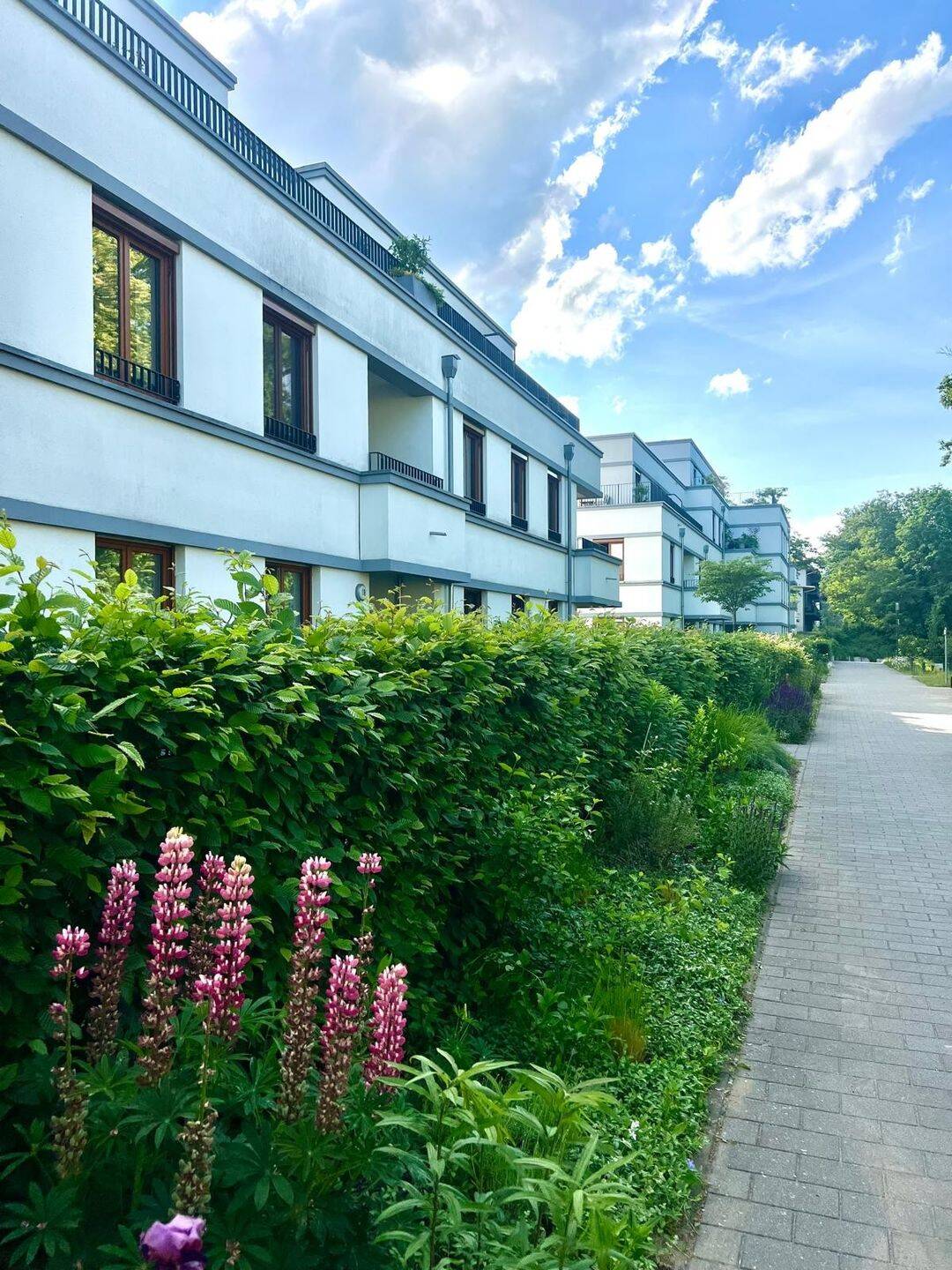 Moderne 2-Zimmer-Wohnung mit Loggia und Tiefgaragenstellplatz in Berlin-Hermsdorf – Berlin – Vorschaubild 4
