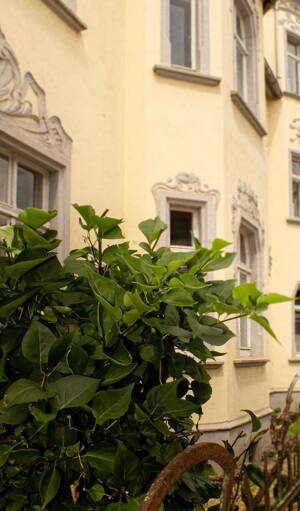 Denkmaltraum in der Domstadt Naumburg - Mehrfamilienhaus MFH oder FeWo – 4277 Leipzig – Vorschaubild 8