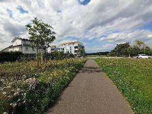 Schöne 3-Zimmerwohnung