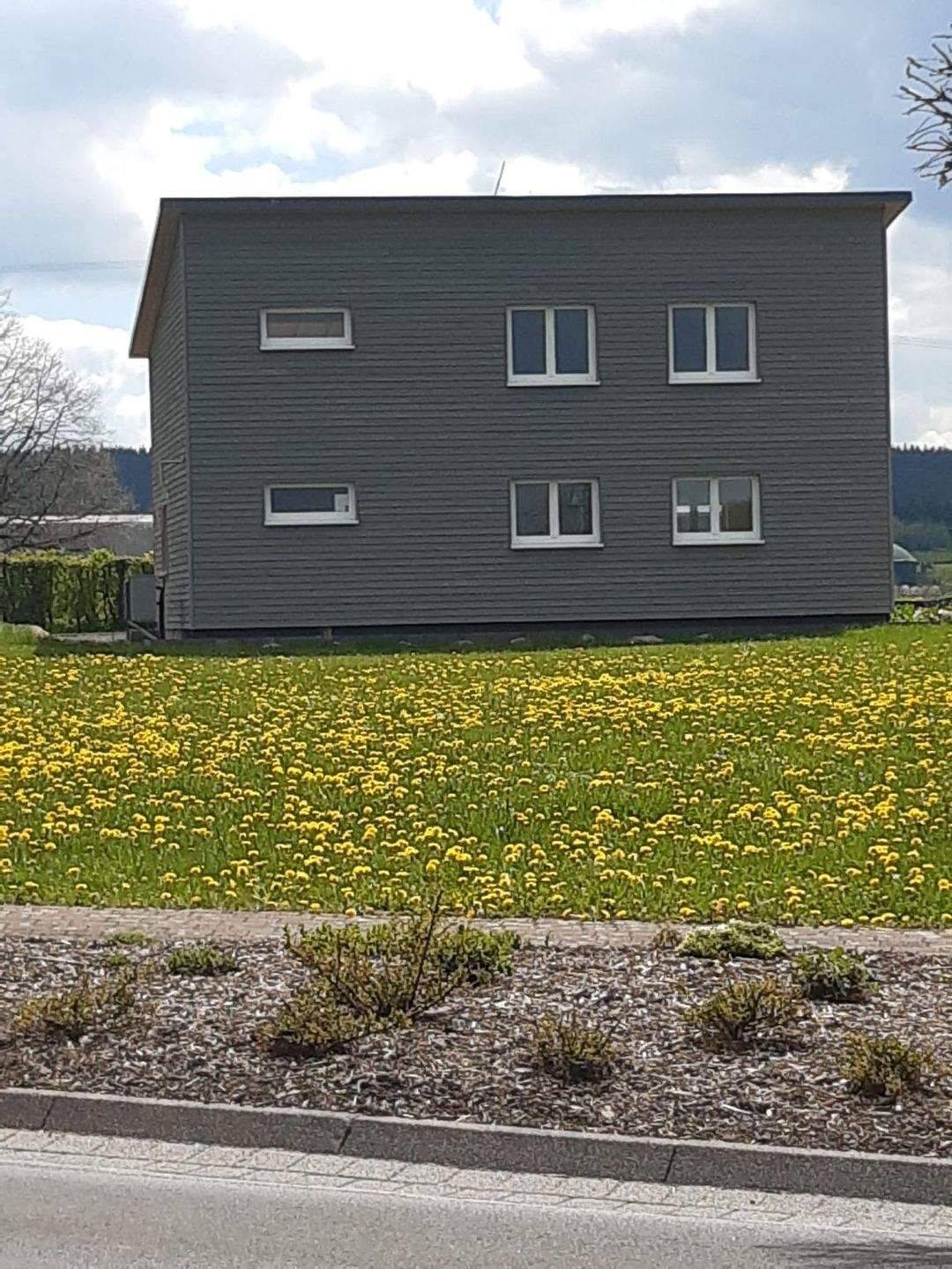 Frei ab sofort / NEUBAU - Erstbezug / Roth bei Prüm – Modernes Einfamilienhaus mit Carport und Garten – Roth bei Prüm – Vorschaubild 2
