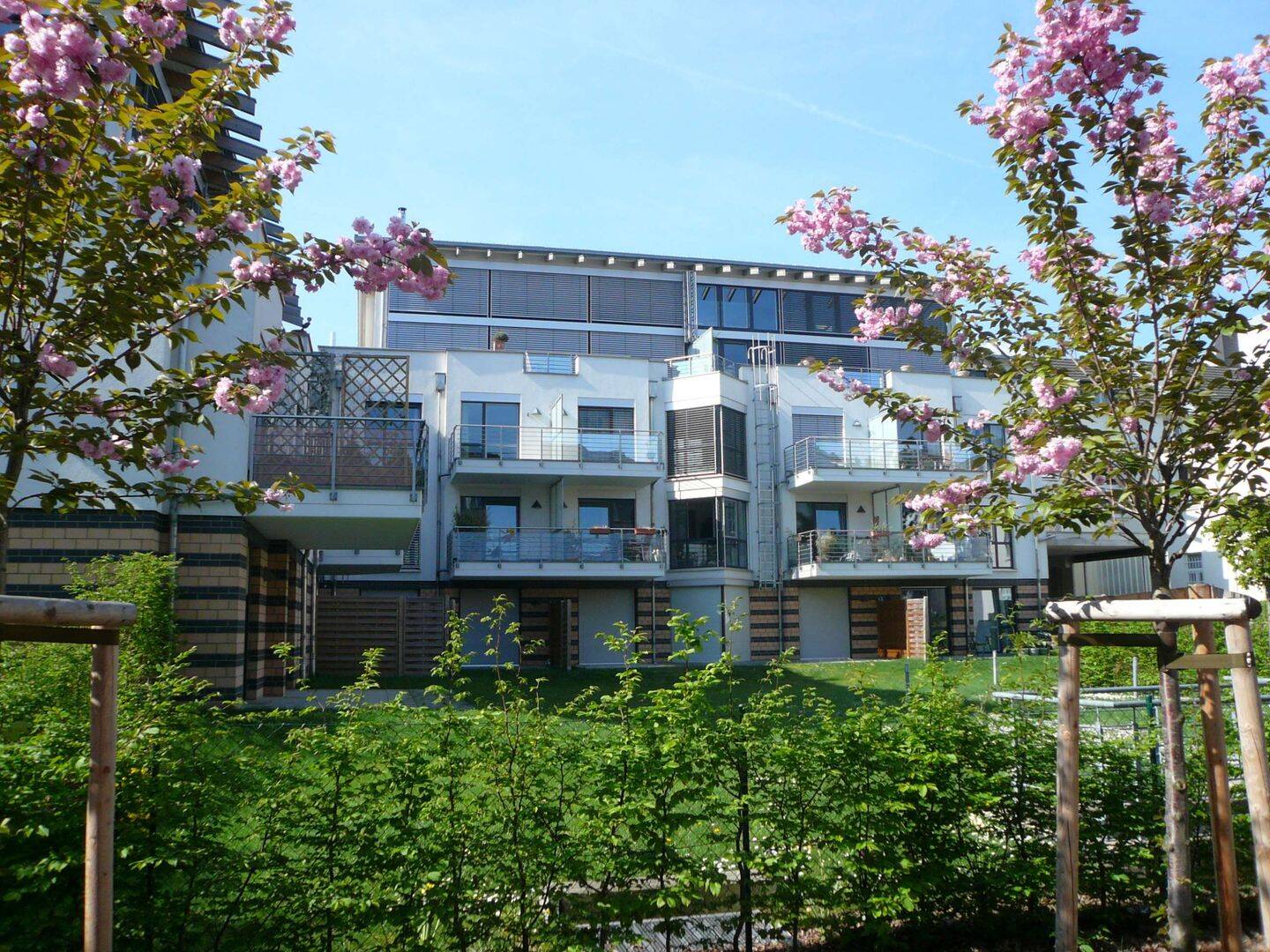 Traumwohnung im Musikerviertel, provisionsfrei – Bonn – Vorschaubild 2