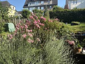 FAMILIENGERECHT & BEZAHLBAR – 58119 Hagen – Vorschaubild 5