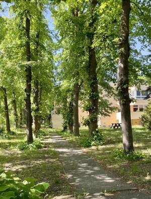 Provisionsfrei vom Eigentümer: Familienidylle in Wannsee - Wohnen zwischen Dorfkern, Seen und Natur – 14109 Berlin – Vorschaubild 3