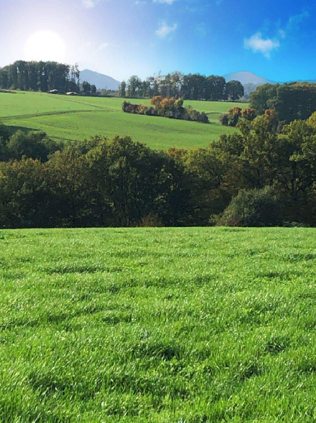 Bauhausvilla mit traumhafter Aussicht ins Siebengebirge in herrlicher Randlage! 20 Min BN / SU – Buchholz (Westerwald) – Bild 1 von 8