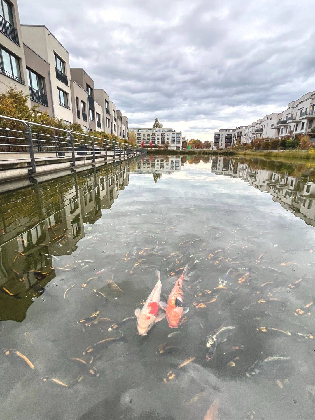 Hochwertige Eigentumswohnung mit Balkon & Tiefgarage in idyllischer Wasserlage – Berlin – Vorschaubild 8